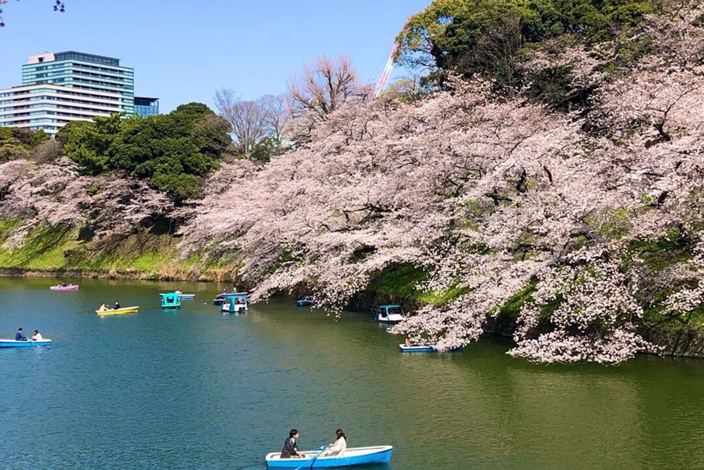 22年 東京都近郊のお花見スポット 桜の名所選 見頃や開花情報も Recotrip レコトリップ