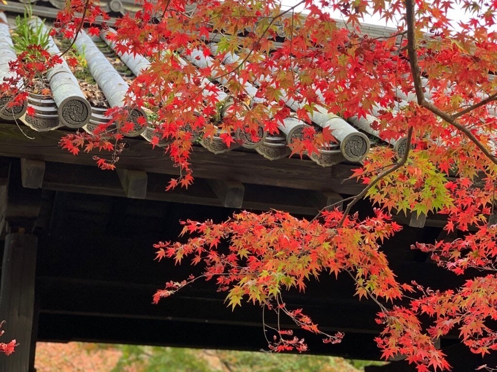 22年 九州の必見紅葉名所25選と見頃 山も渓谷も縁結び神社も 必見スポットまとめ Recotrip レコトリップ