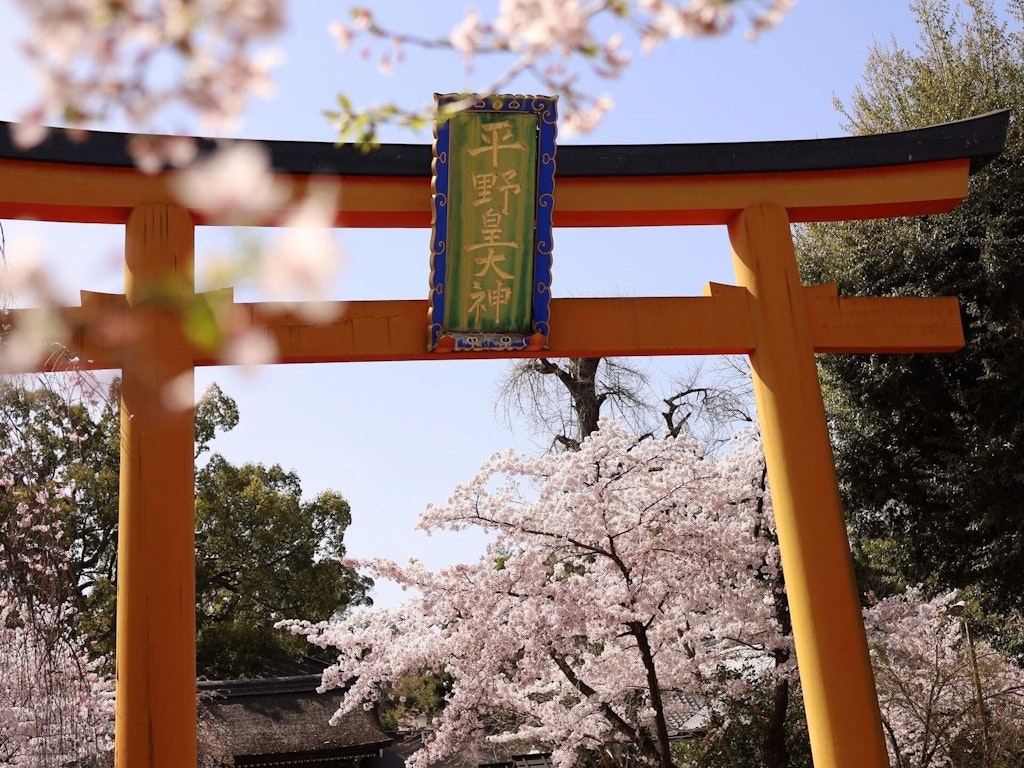 22年 京都府の桜の名所 穴場選 見頃や満開時期はいつ Recotrip レコトリップ