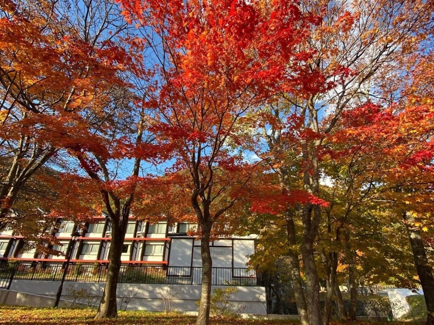 22年 北海道 東北の紅葉旅で絶対泊まりたいホテル 旅館30選 紅葉スポットまで歩いて行ける 部屋から紅葉 ビュー Recotrip レコトリップ