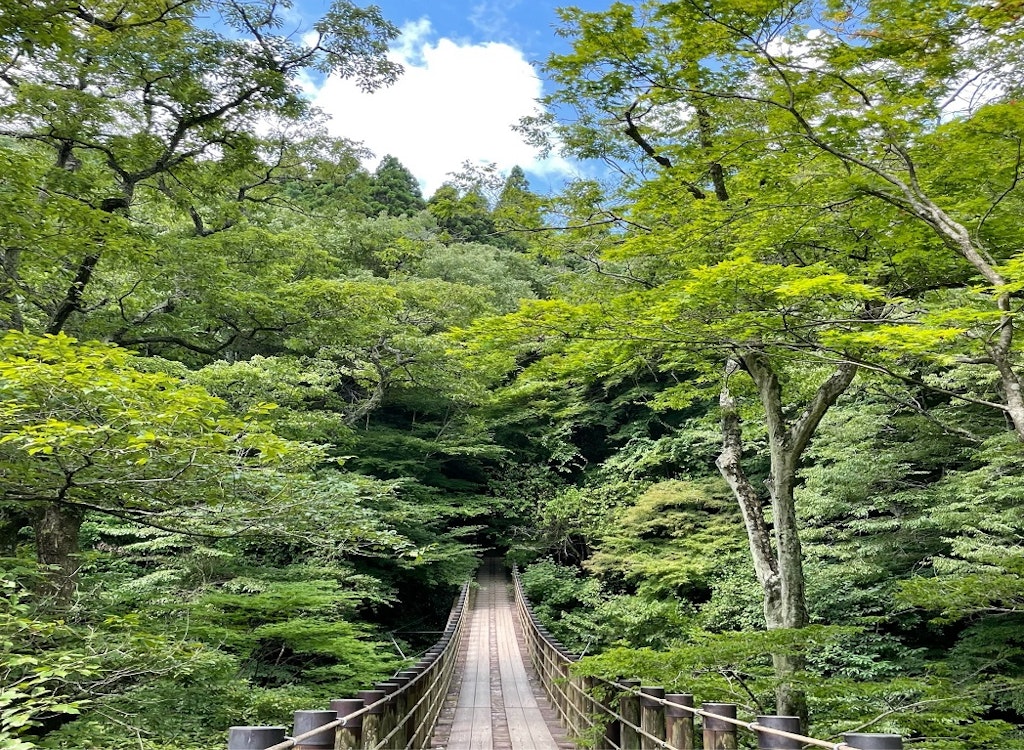 ロケ地で話題の 花貫渓谷 を観光しよう 楽しみ方や周辺スポット 行き方まで Recotrip レコトリップ