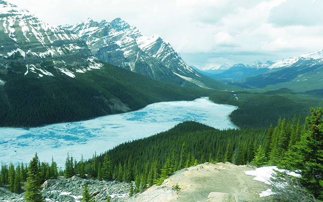 海外での美容業界の就職事情