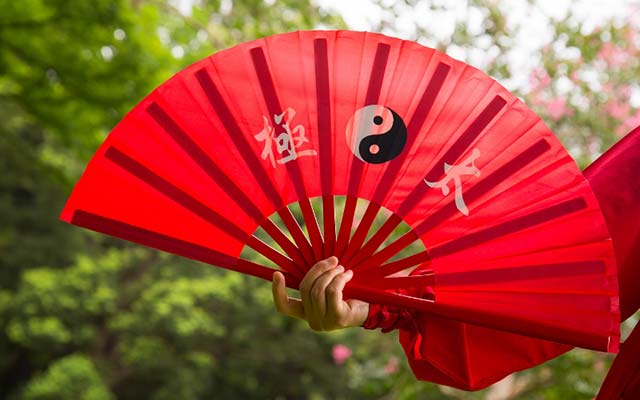 まず自分の軸をつくること!太極拳で心と体をクリアにする