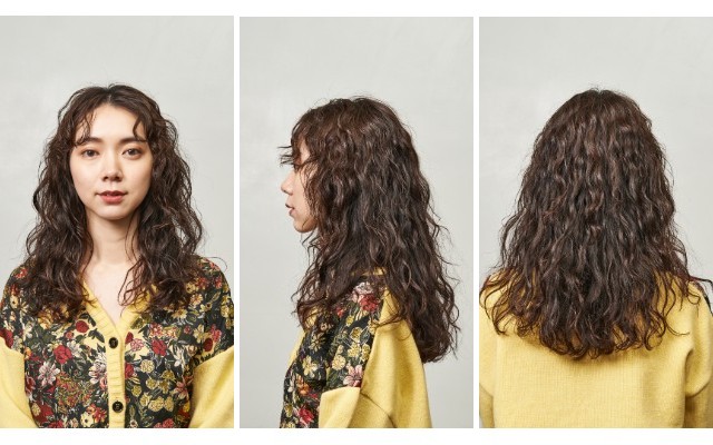 12%e6%9e%9a%e7%9b%ae-3