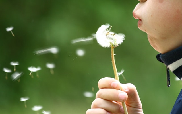 「てい鍼」頭痛解消法