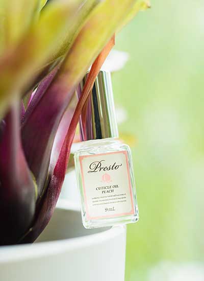 【サロン探訪】CHESTNUTS