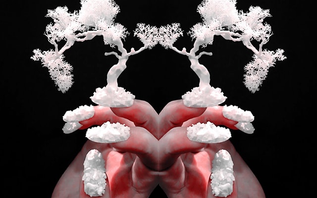 S’pluMe nail atelier