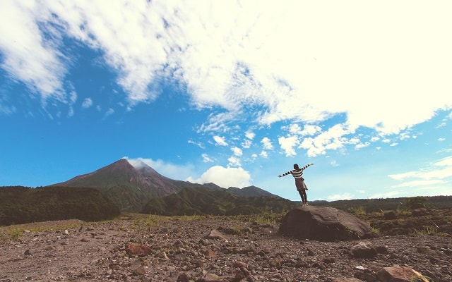 免疫力アップを目指せる食材とは?