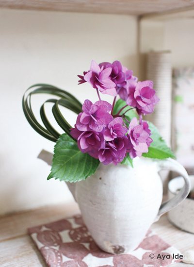 紫陽花、ミスカンサス