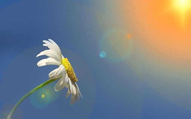 終身保険とは何か……