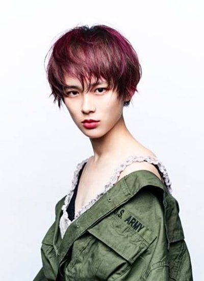 ナプラドリームプラス2015