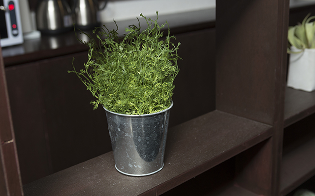 オトコネイル有楽町店