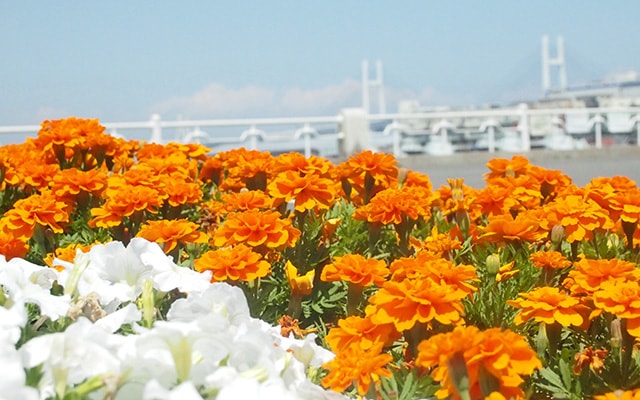 04_97f5ae5ec0bde64cdfe6168b02d29c5a_m-min