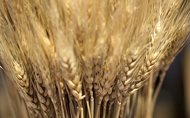 2_c3cb1fe3222cc07adb502b3785cc1756_m-min