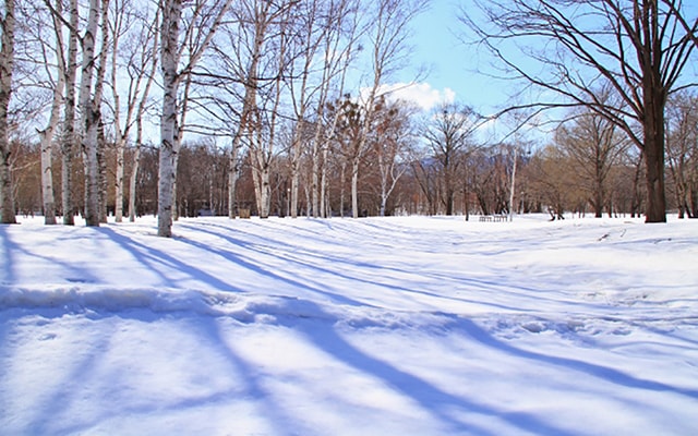 北欧・ロシアの美容の歴史