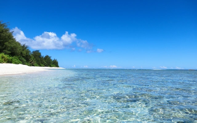 オフィスポリティックス