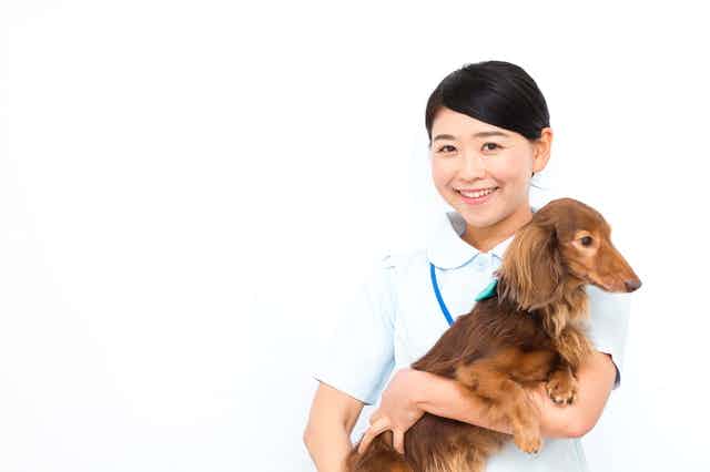 動物の薬剤師とは？仕事内容・なり方・将来性について