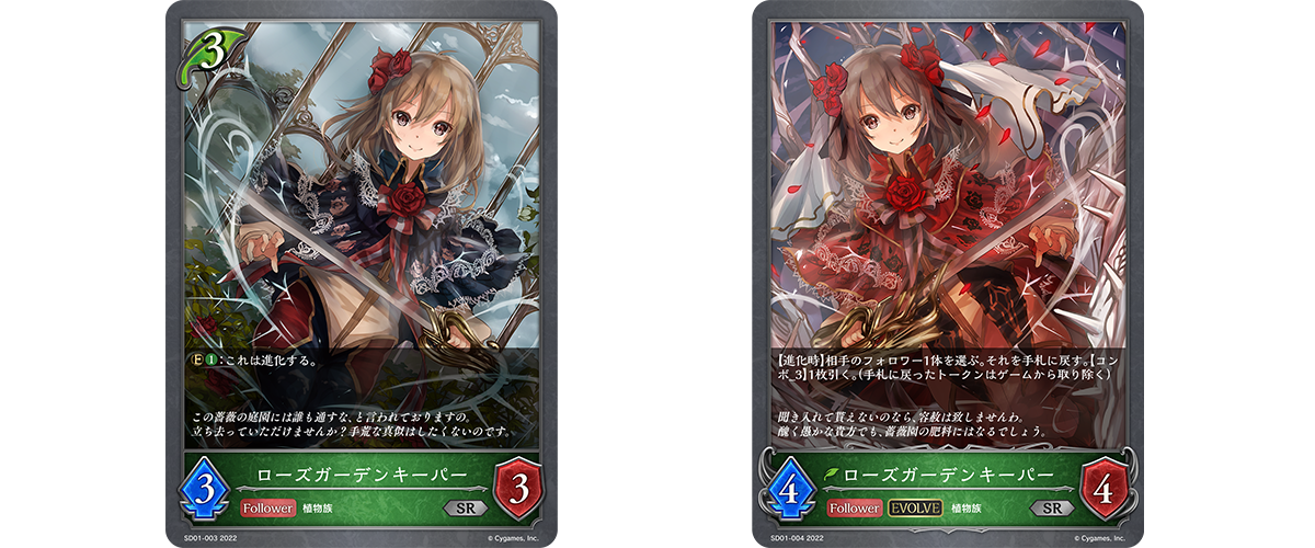 NEWS | Shadowverse EVOLVE 公認ジャッジ プログラム | Shadowverse