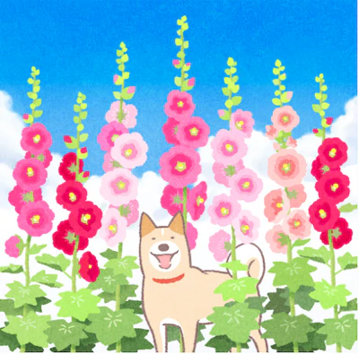 13 card1