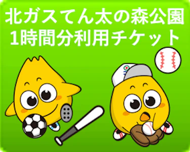6 北ガス 野球場利用券