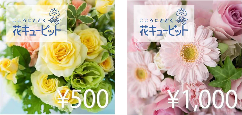 券面イメージ