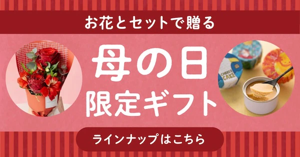 02 260416 母の日ギフト