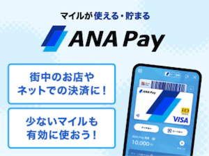 ANA Pay商品画像