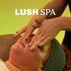 14 LUSH