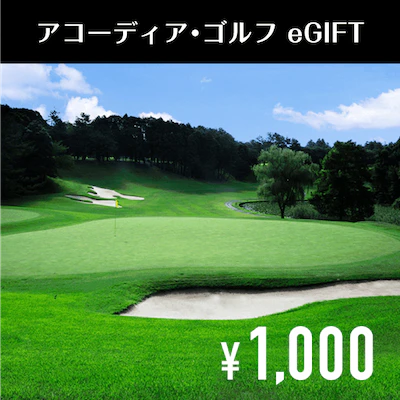 accordiagolf 1000