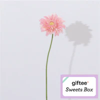 03 Bloom365×giftee Sweets Box