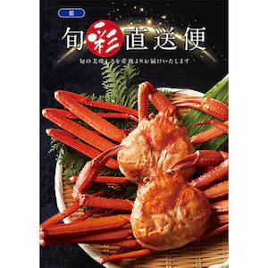 01 株式会社ハリカ 124745