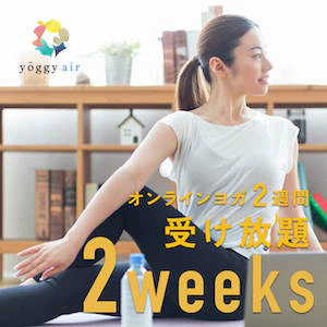 07 券面画像 yoggy