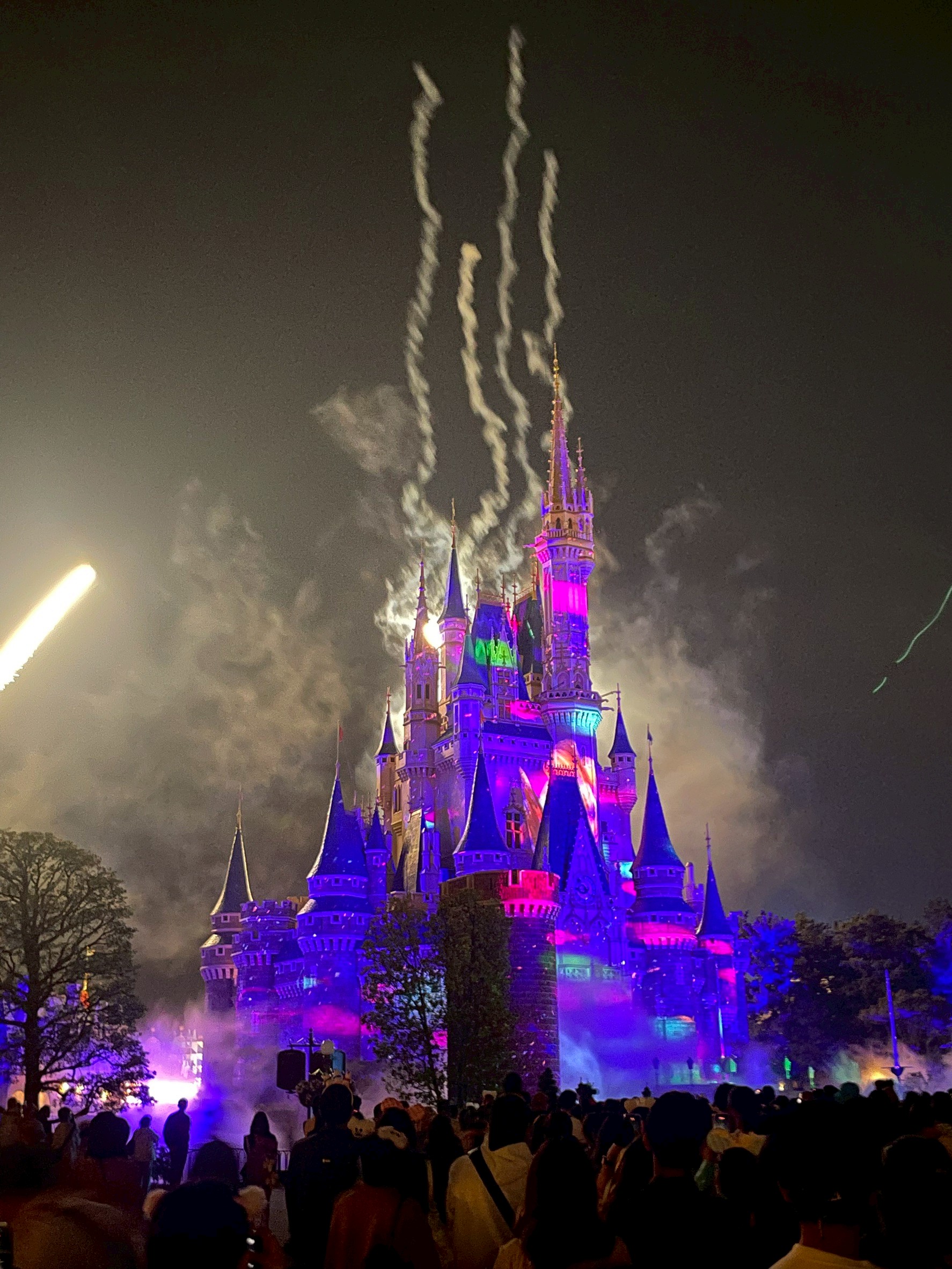 夜のディズニーランド