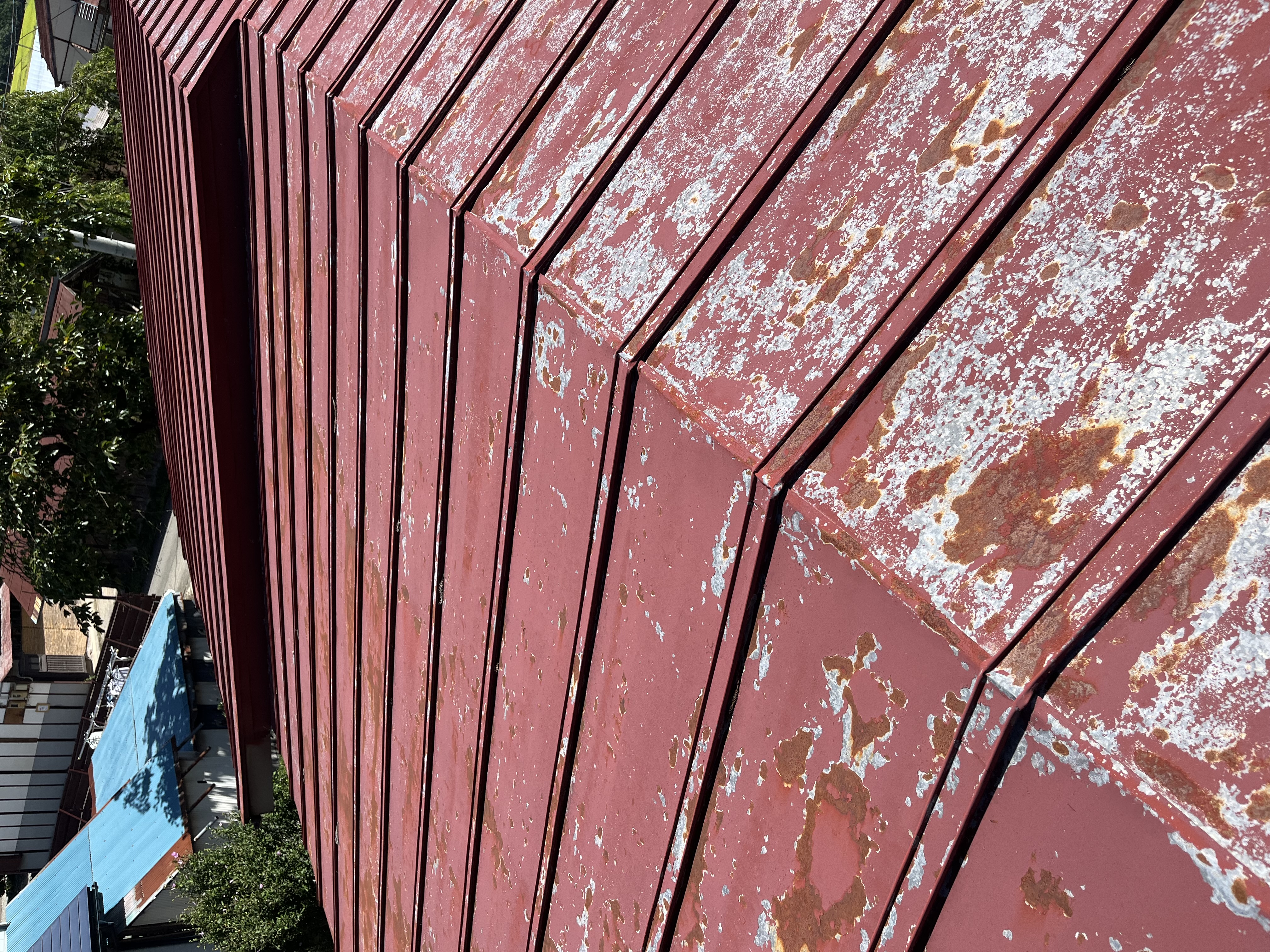 新しい新聞折込チラシ　3月6日会津全域に配布