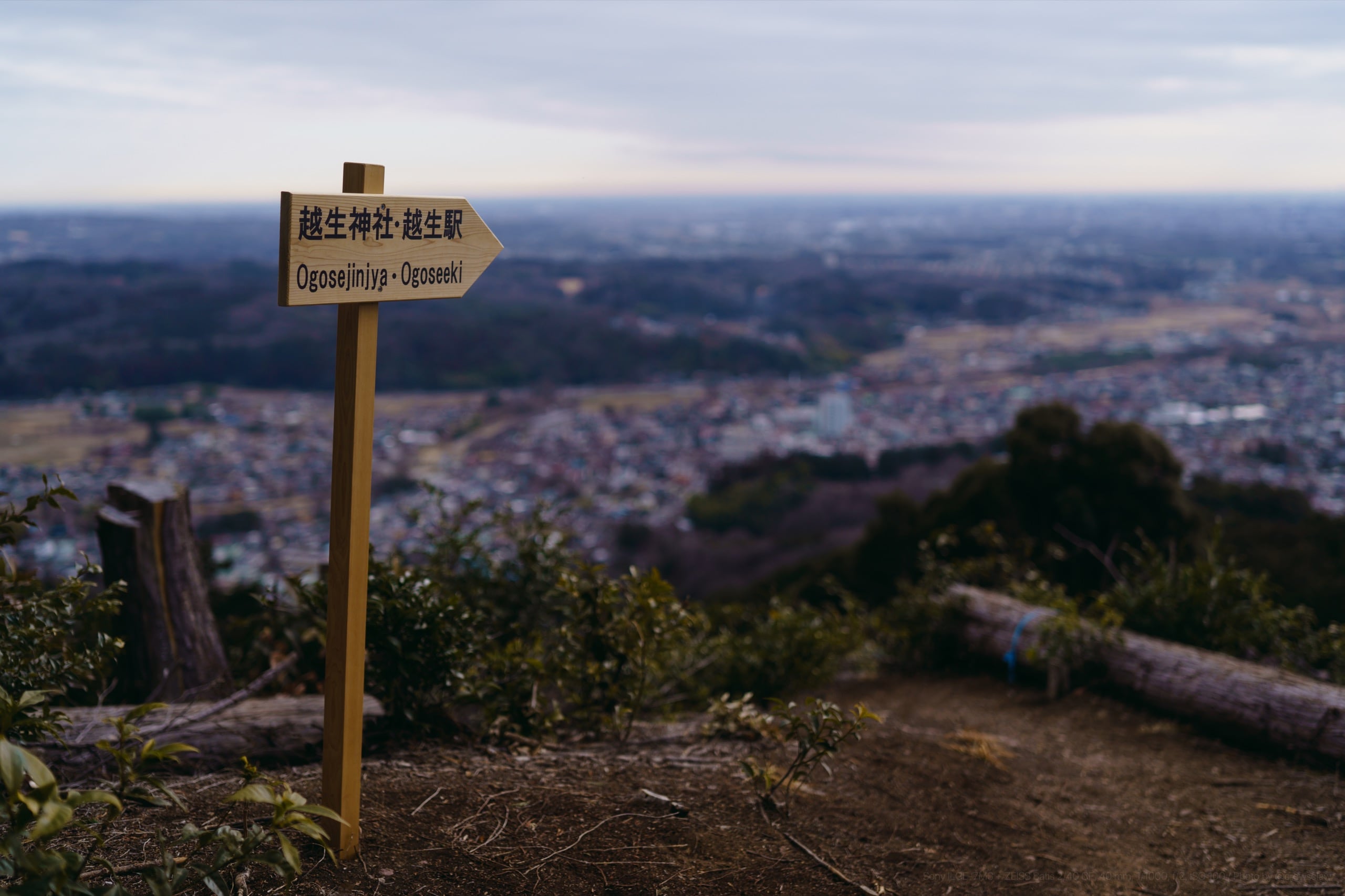 登山：秩父・奥武蔵 | CROW'SCLAW