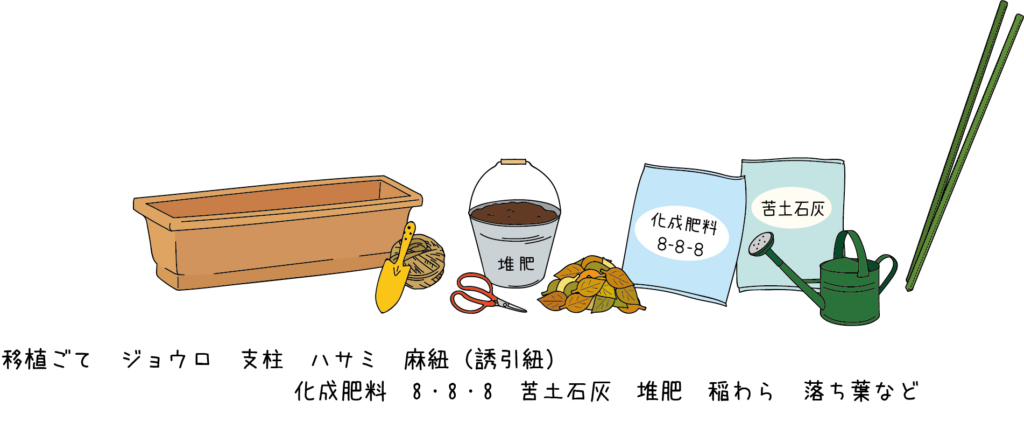 ハイギャバトマト 栽培マニュアル | サナテックシード（株