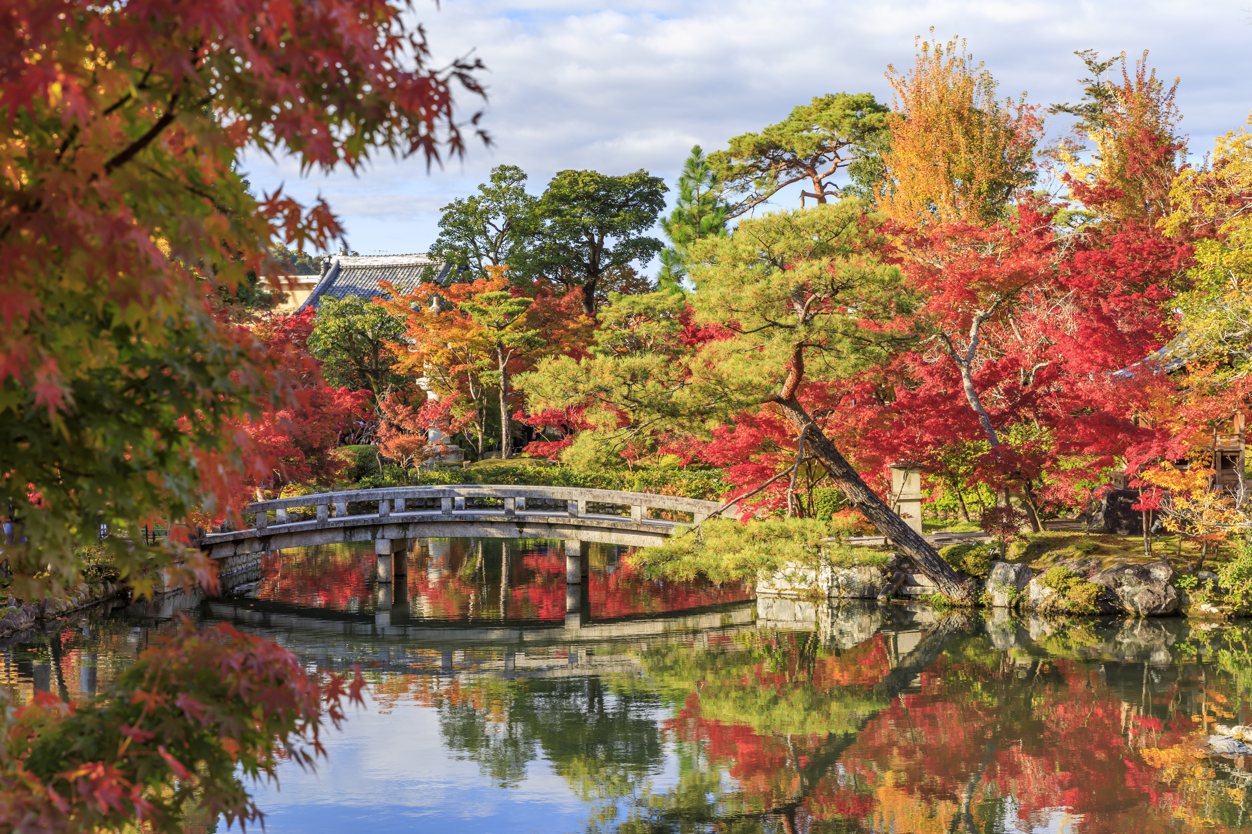 2025年11月の製造業M&A