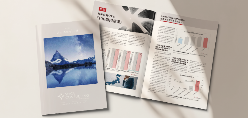 バリューアップBOOK Vol.5 -スイス- 資料イメージ