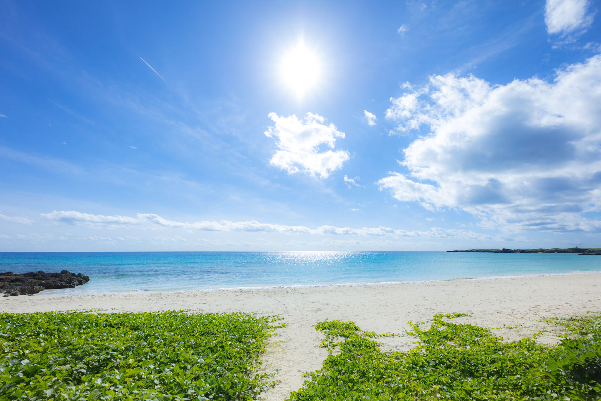 2025年8月の製造業M&A