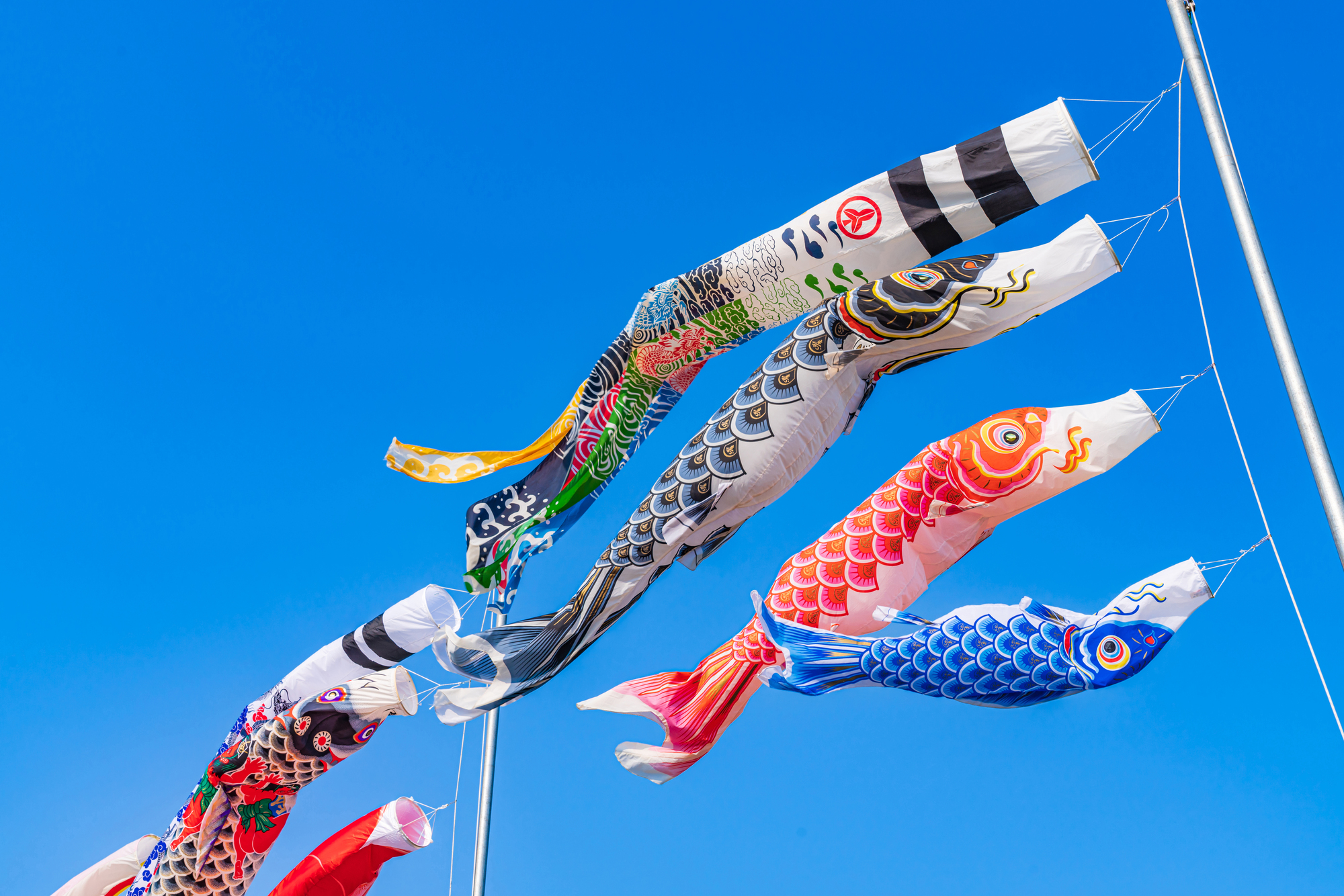 2025年5月の製造業M&A