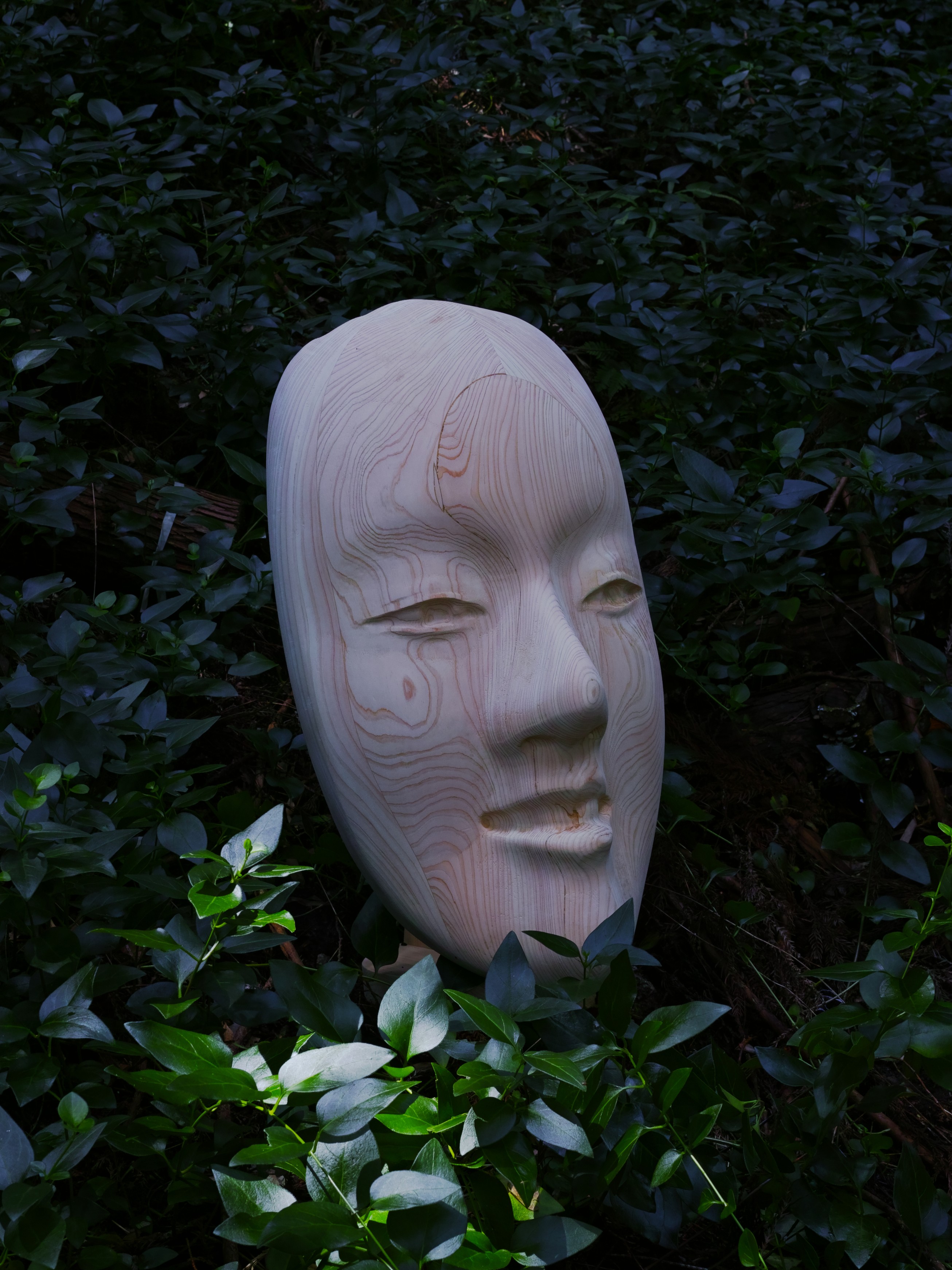 Enlarged Noh Mask / 巨大能面
