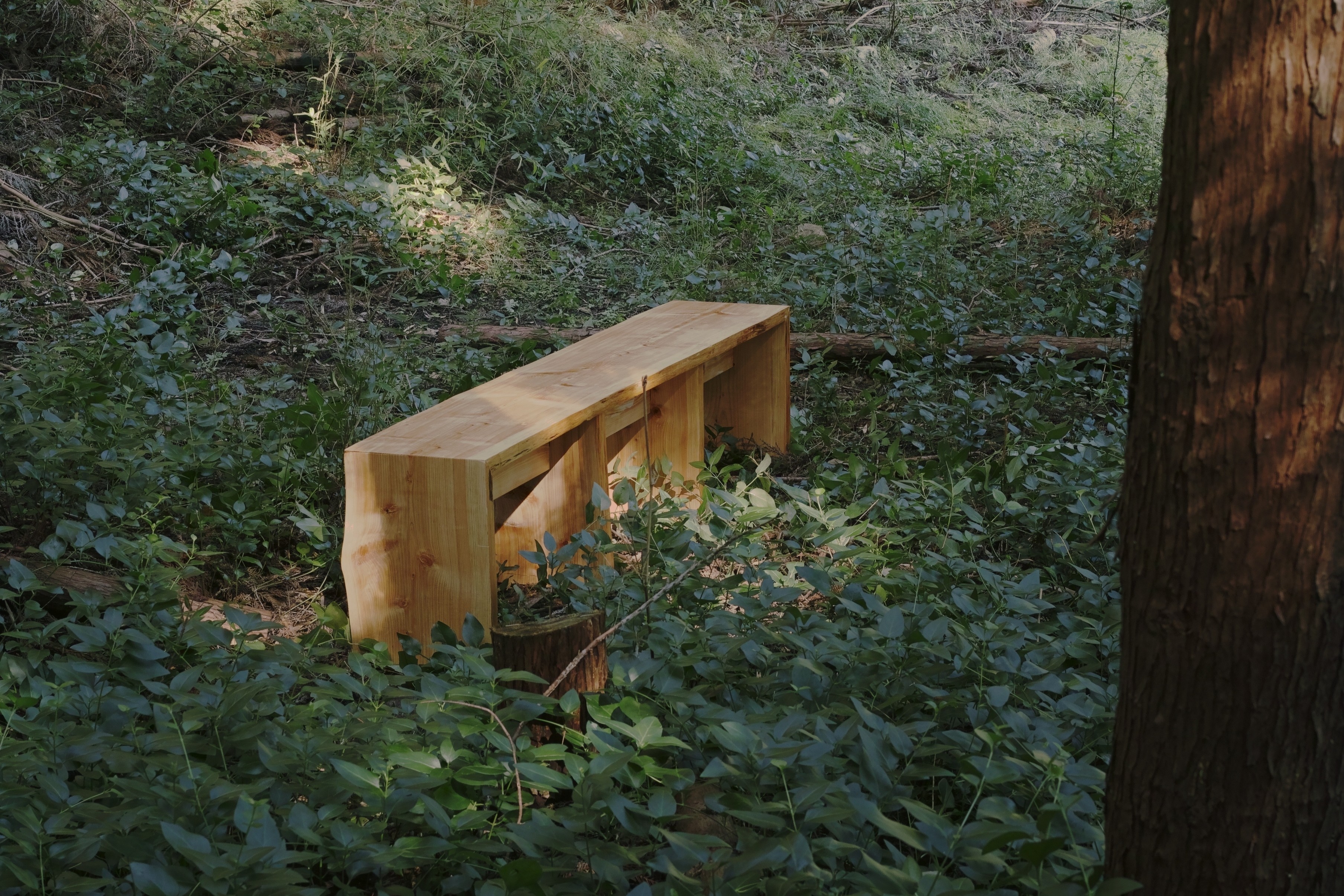 NEMAGARI bench — photo 1