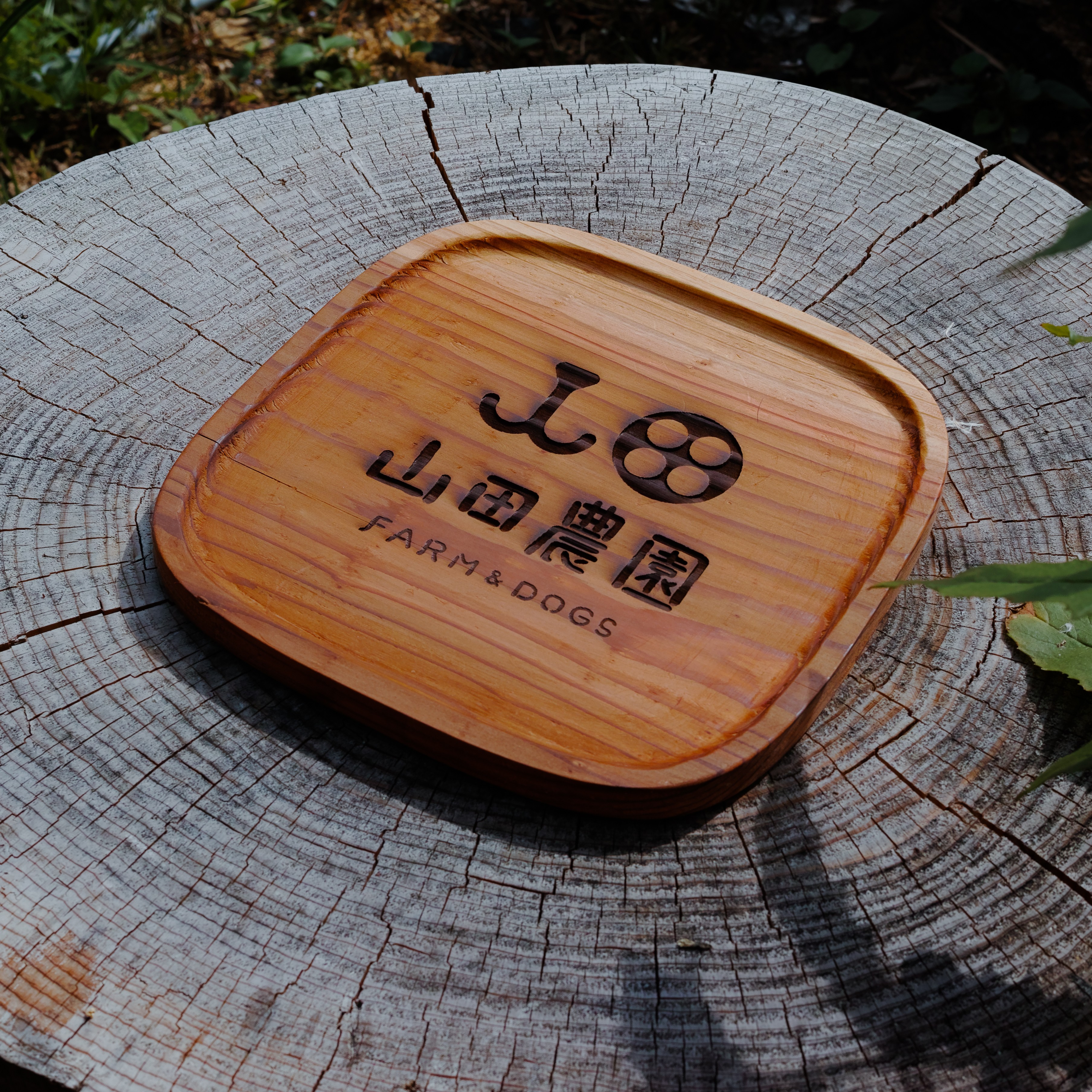 Finished Tray