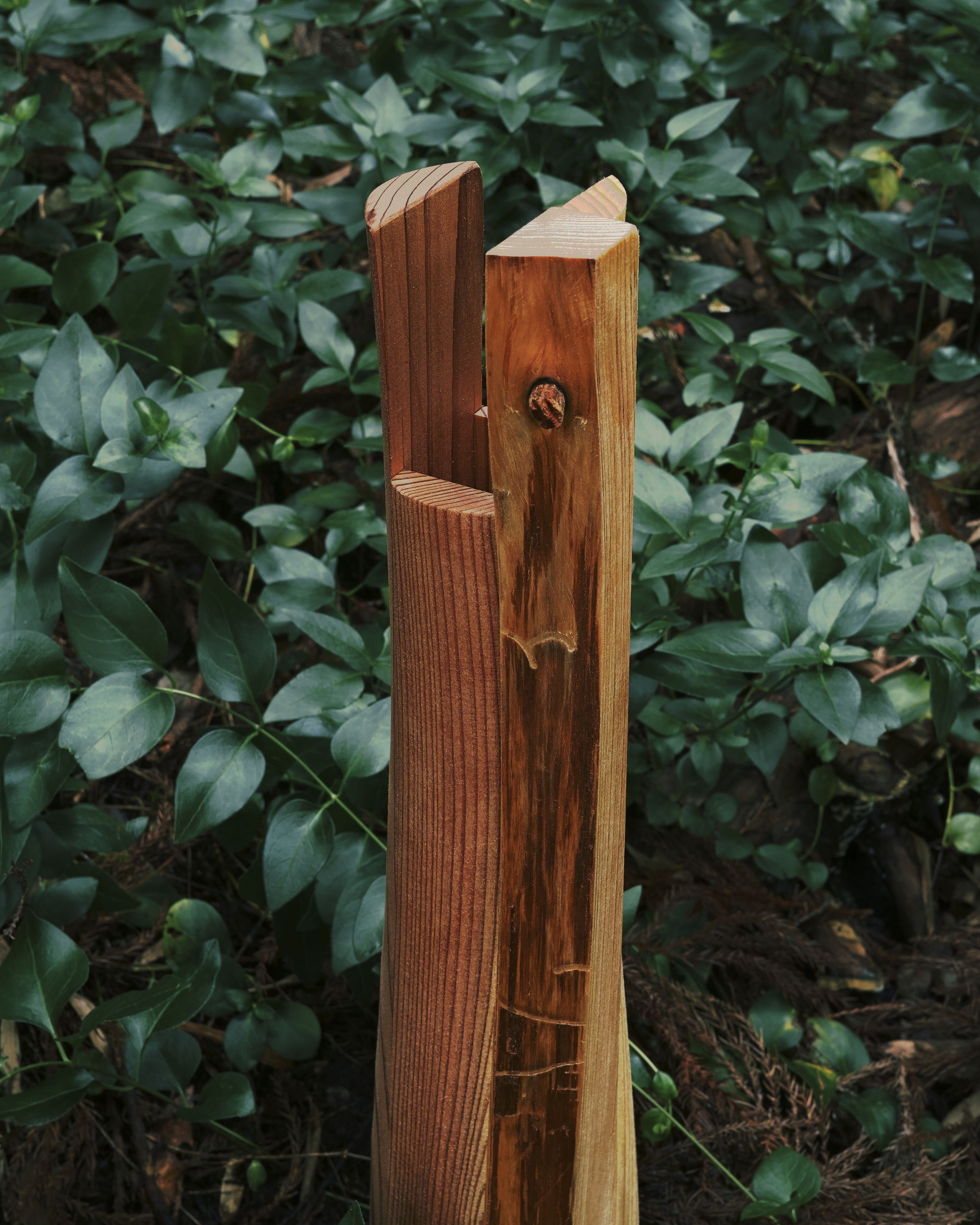 Indexer Vase Series — photo 2