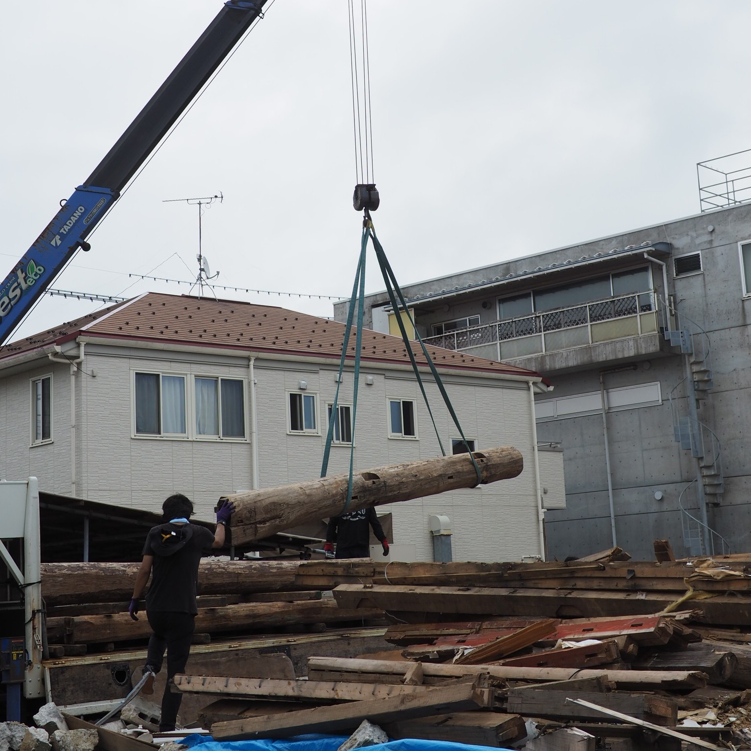 Timber rescue