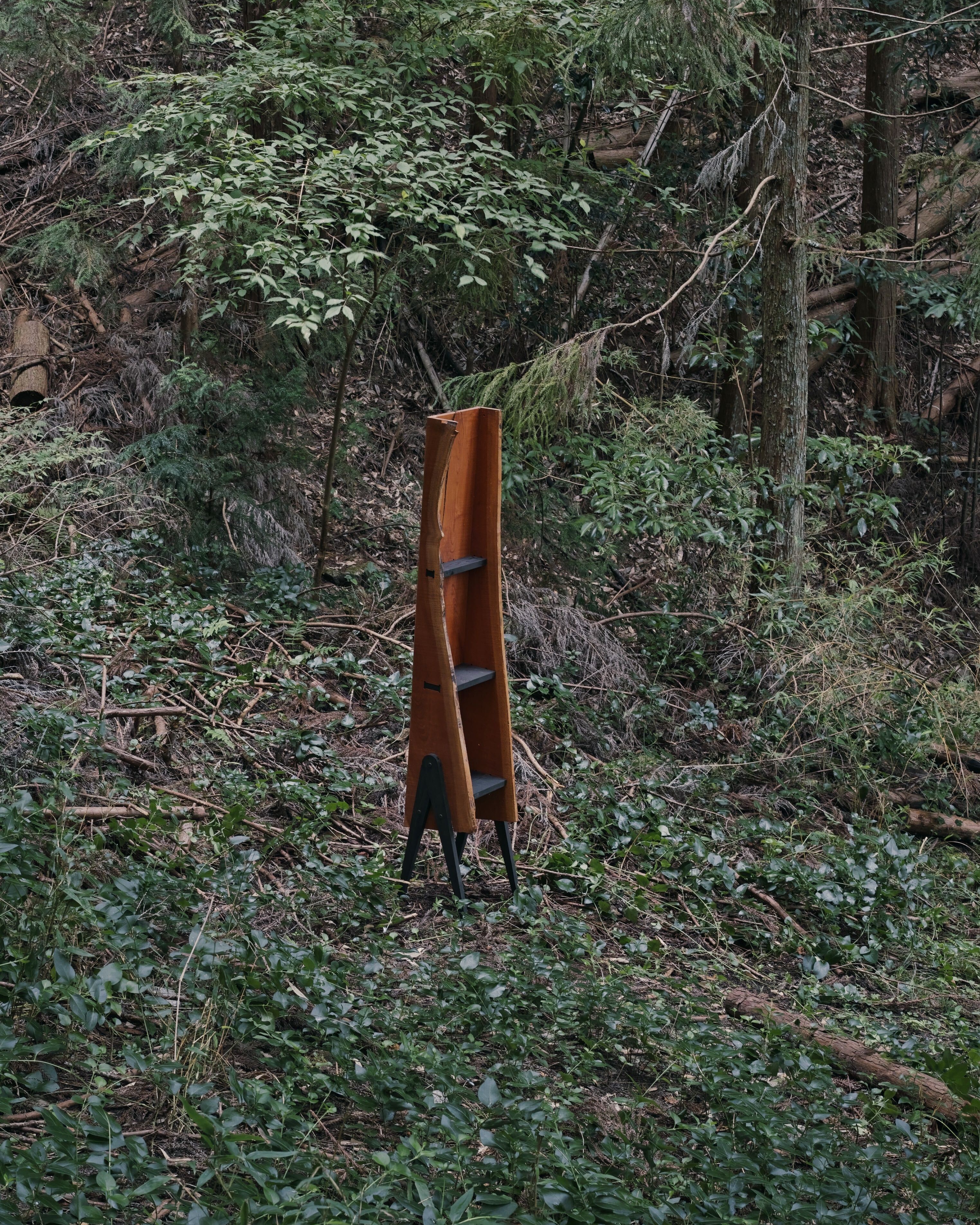 MATAGI shelf — photo 3
