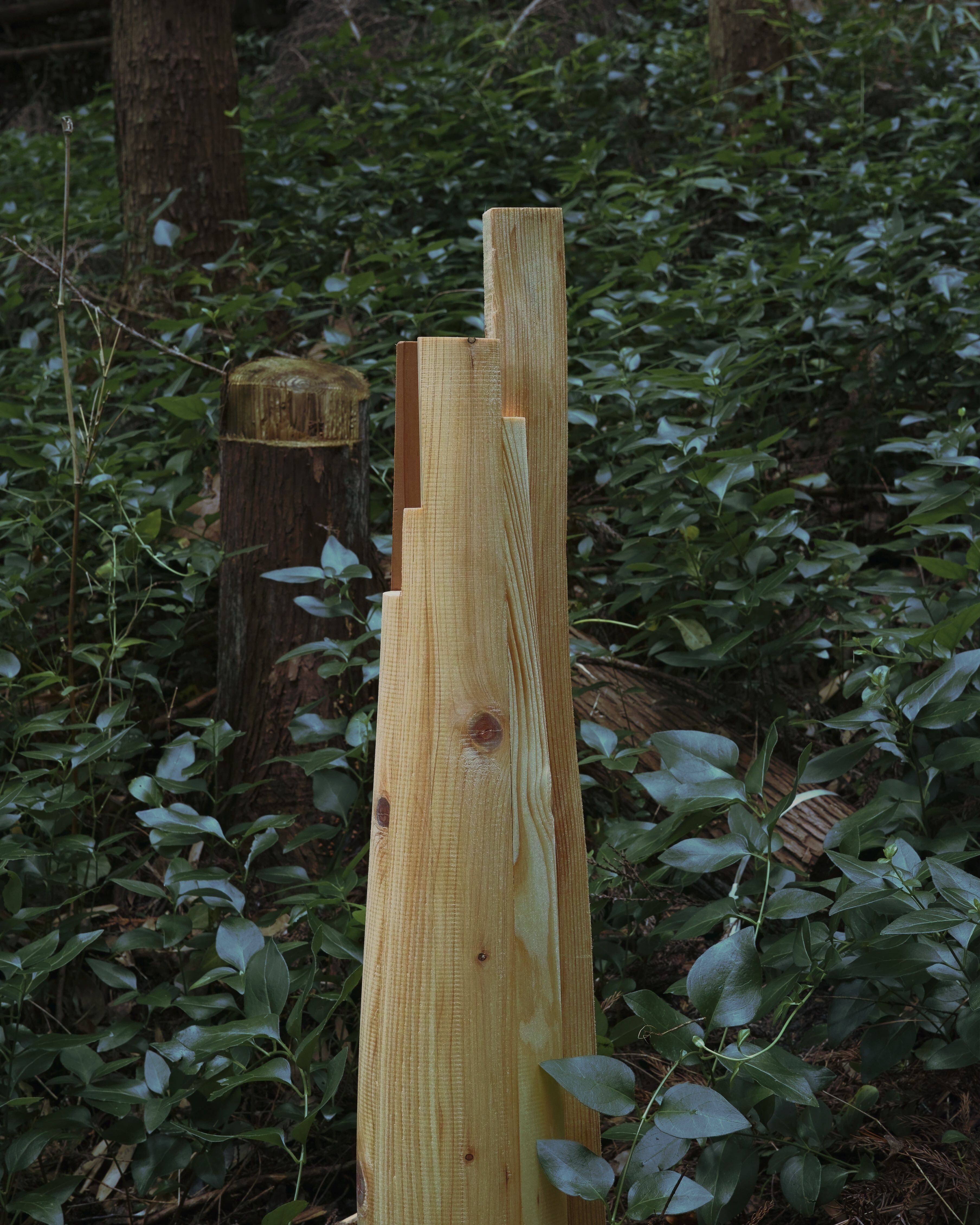 Indexer Vase Series — photo 1