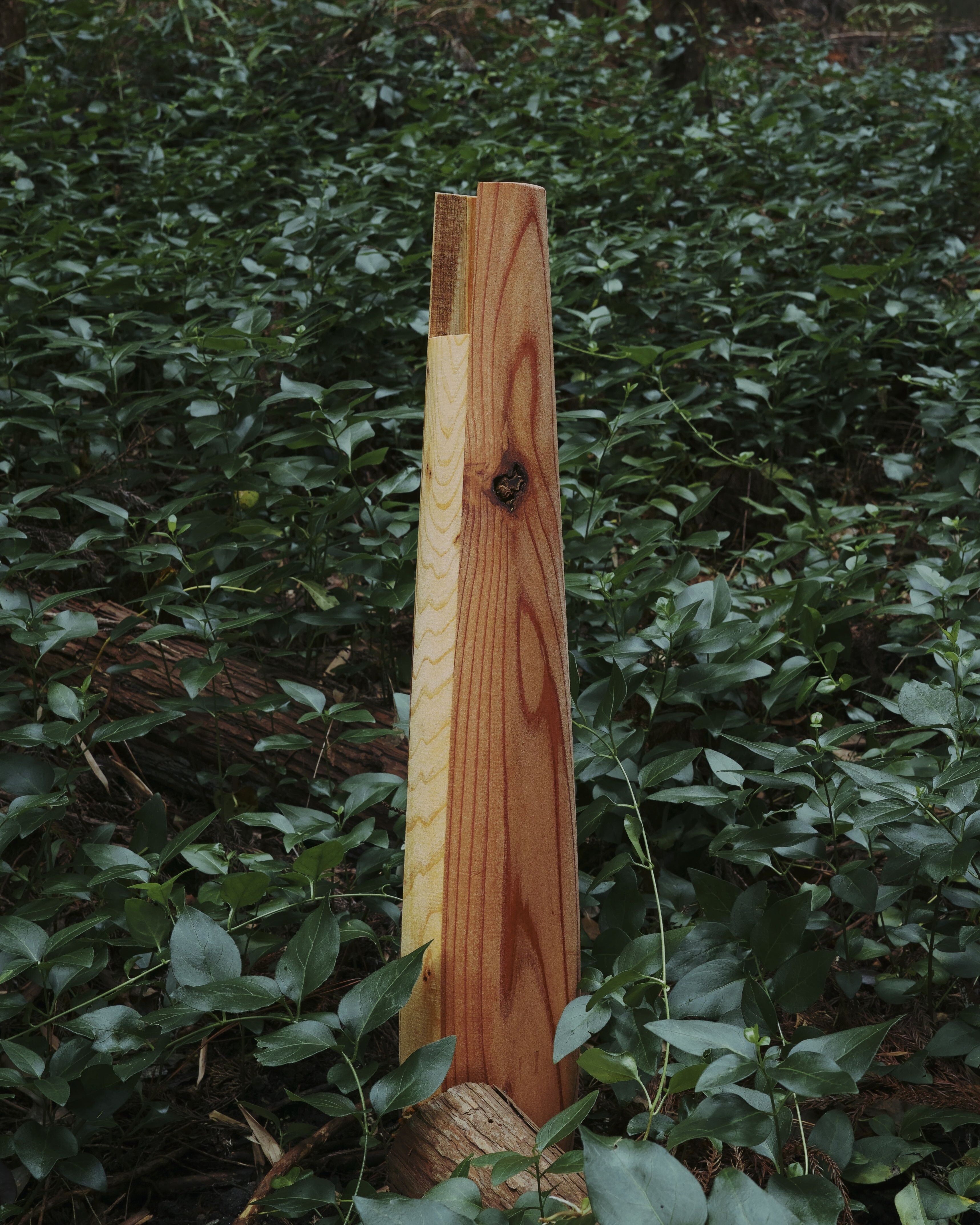 Indexer Vase Series