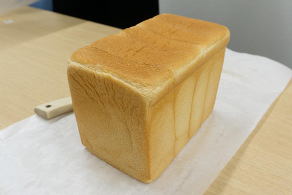 35488686-s.jpg