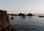 海